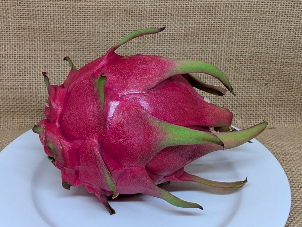 Taiwan Red dragon fruit whole